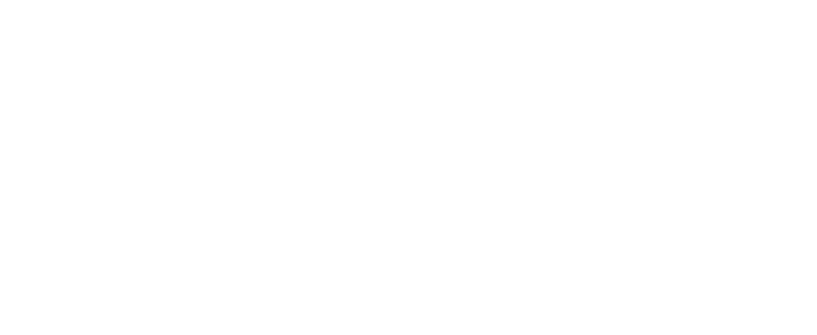 Mirror Society