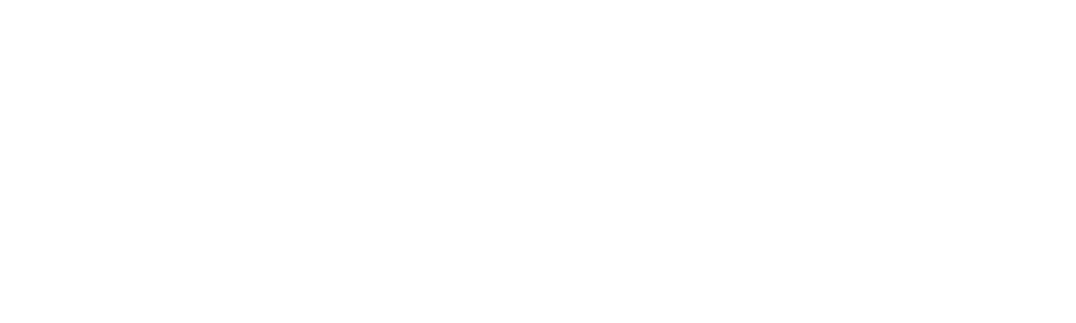 Phuture Noize